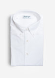 Oxford Cloth Button Down