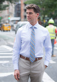 Frank Stella Blue Stripe Dress Shirt - Frank Stella Clothiers