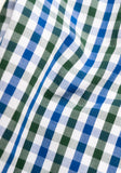 Blue/Green Check Shirt