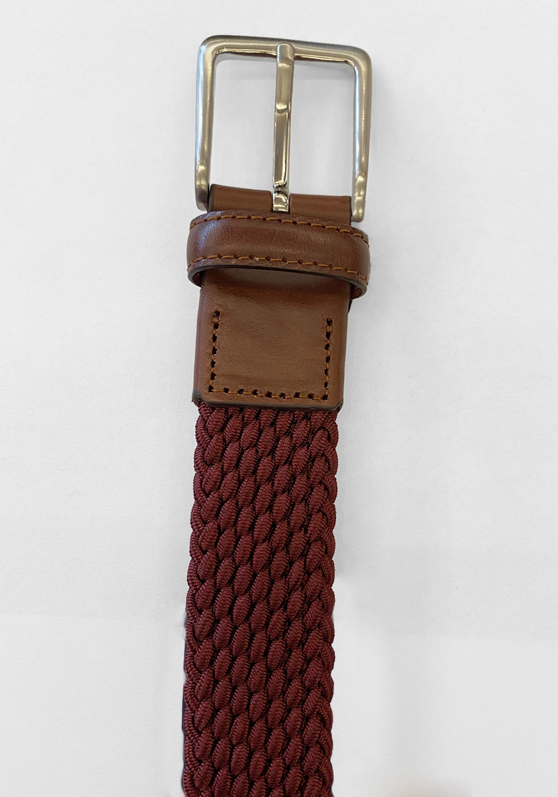 Leyva Braided Elastic Belt - Frank Stella Clothiers